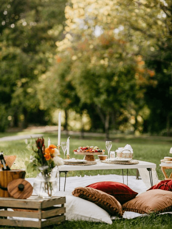 Picnic Date Aesthetic